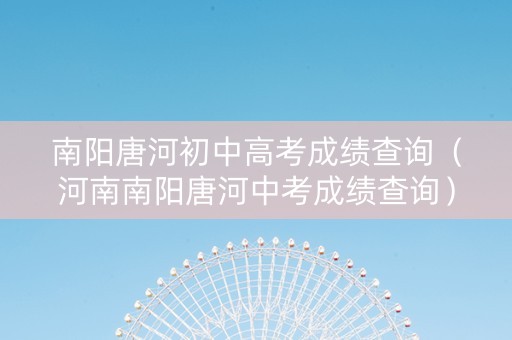 南阳唐河初中高考成绩查询（河南南阳唐河中考成绩查询）