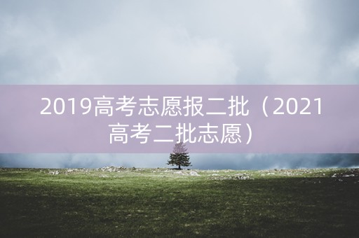 2019高考志愿报二批（2021高考二批志愿）