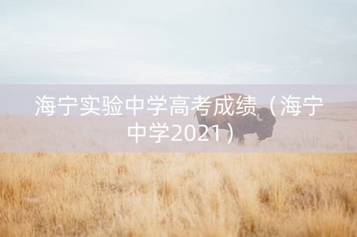 海宁实验中学高考成绩（海宁中学2021）