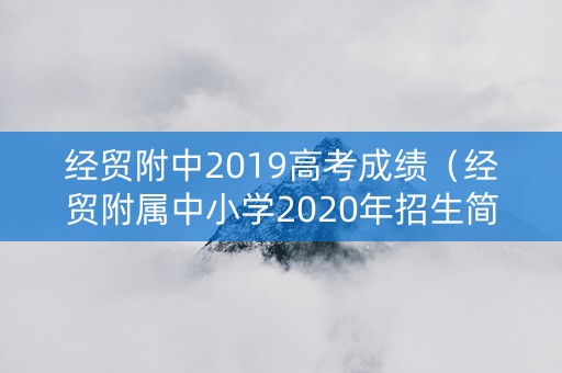 经贸附中2019高考成绩（经贸附属中小学2020年招生简章）