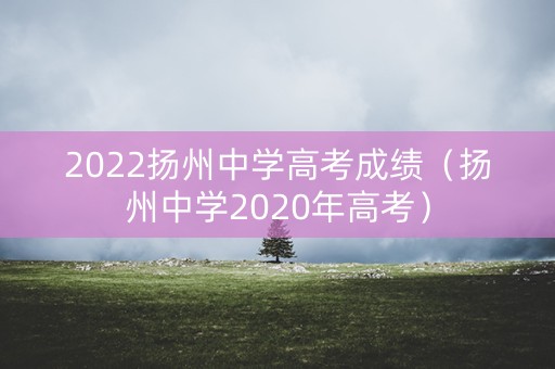 2022扬州中学高考成绩（扬州中学2020年高考）