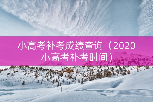 小高考补考成绩查询（2020小高考补考时间）