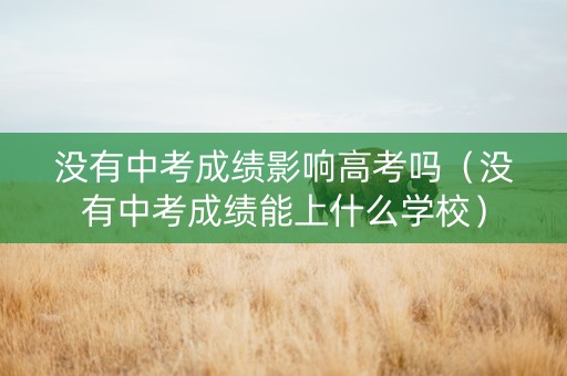 没有中考成绩影响高考吗（没有中考成绩能上什么学校）
