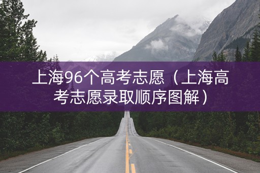 上海96个高考志愿（上海高考志愿录取顺序图解）