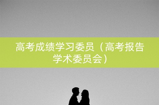 高考成绩学习委员（高考报告学术委员会）