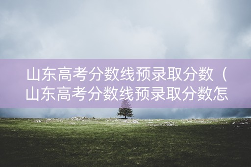 山东高考分数线预录取分数（山东高考分数线预录取分数怎么算）