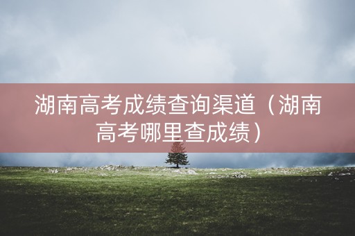 湖南高考成绩查询渠道（湖南高考哪里查成绩）