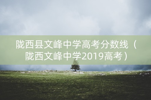陇西县文峰中学高考分数线（陇西文峰中学2019高考）