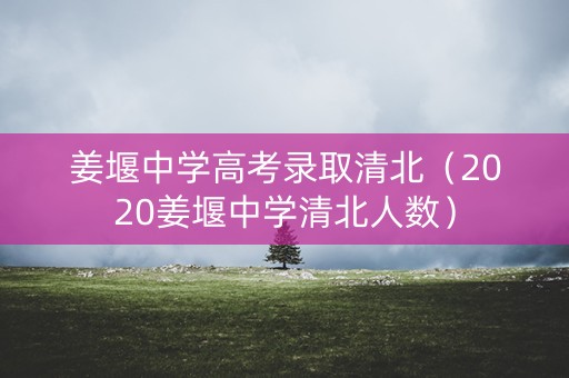 姜堰中学高考录取清北（2020姜堰中学清北人数）