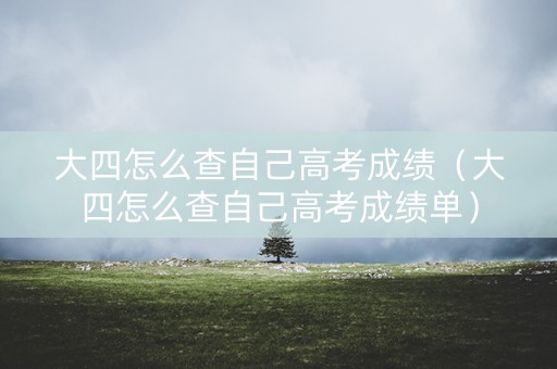 大四怎么查自己高考成绩（大四怎么查自己高考成绩单）