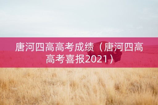 唐河四高高考成绩（唐河四高高考喜报2021）