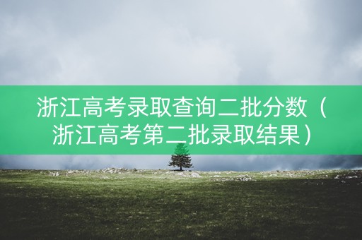 浙江高考录取查询二批分数（浙江高考第二批录取结果）