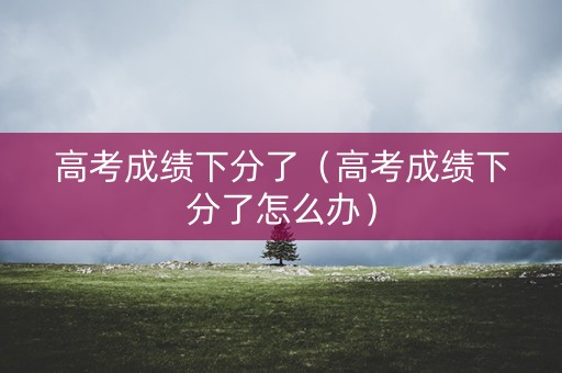 高考成绩下分了（高考成绩下分了怎么办）