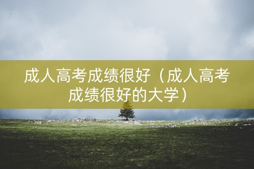 成人高考成绩很好（成人高考成绩很好的大学）