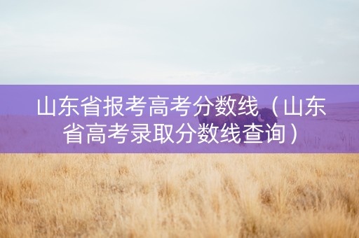 山东省报考高考分数线（山东省高考录取分数线查询）