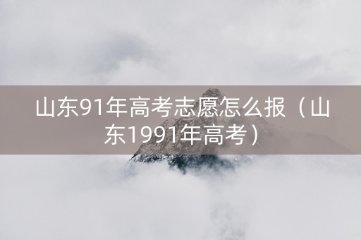 山东91年高考志愿怎么报（山东1991年高考）