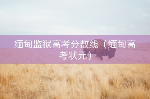 缅甸监狱高考分数线（缅甸高考状元）