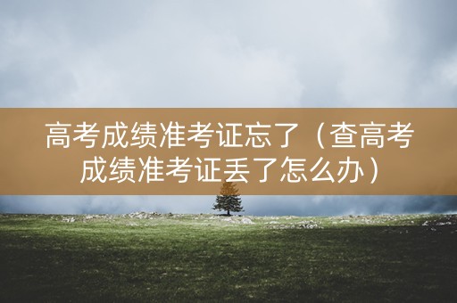 高考成绩准考证忘了（查高考成绩准考证丢了怎么办）