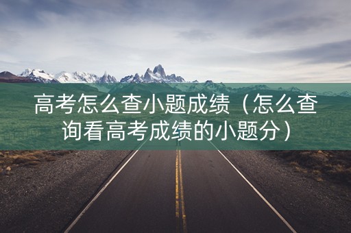 高考怎么查小题成绩（怎么查询看高考成绩的小题分）