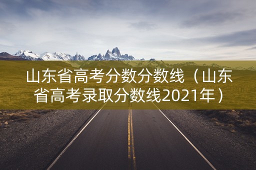 山东省高考分数分数线（山东省高考录取分数线2021年）