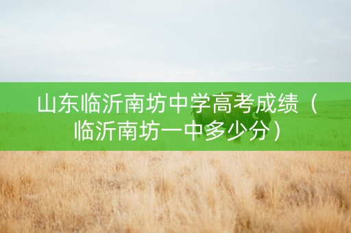 山东临沂南坊中学高考成绩（临沂南坊一中多少分）