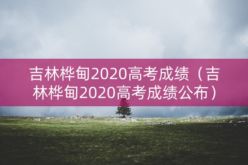 吉林桦甸2020高考成绩（吉林桦甸2020高考成绩公布）