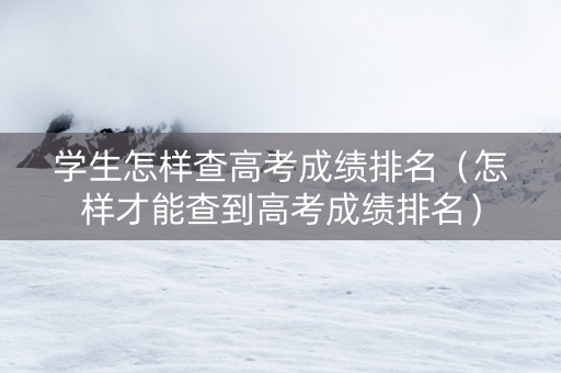 学生怎样查高考成绩排名（怎样才能查到高考成绩排名）