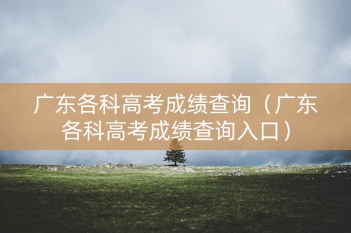 广东各科高考成绩查询（广东各科高考成绩查询入口）