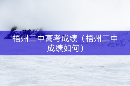 梧州二中高考成绩（梧州二中成绩如何）