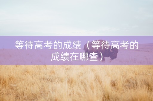 等待高考的成绩（等待高考的成绩在哪查）