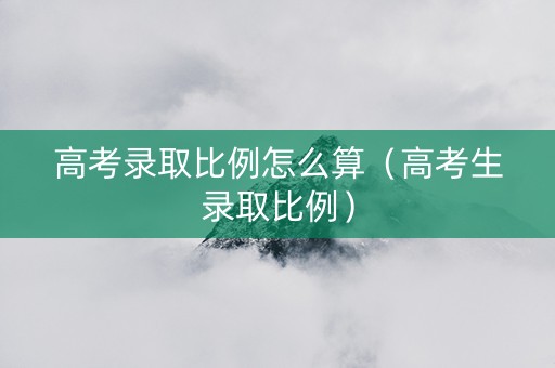 高考录取比例怎么算（高考生录取比例）