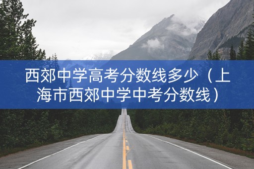 西郊中学高考分数线多少（上海市西郊中学中考分数线）
