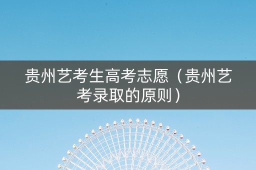 贵州艺考生高考志愿（贵州艺考录取的原则）
