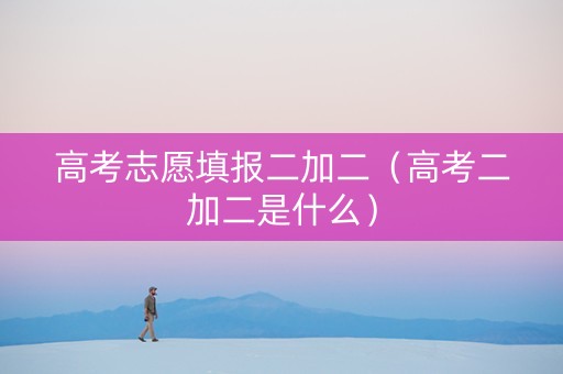 高考志愿填报二加二（高考二加二是什么）