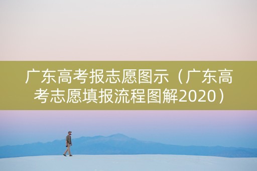 广东高考报志愿图示（广东高考志愿填报流程图解2020）