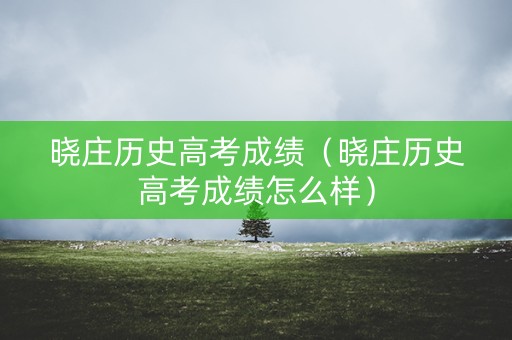 晓庄历史高考成绩（晓庄历史高考成绩怎么样）
