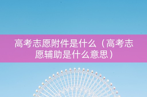 高考志愿附件是什么（高考志愿辅助是什么意思）