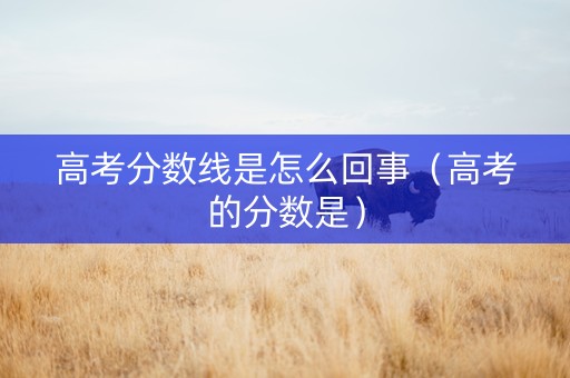 高考分数线是怎么回事（高考的分数是）