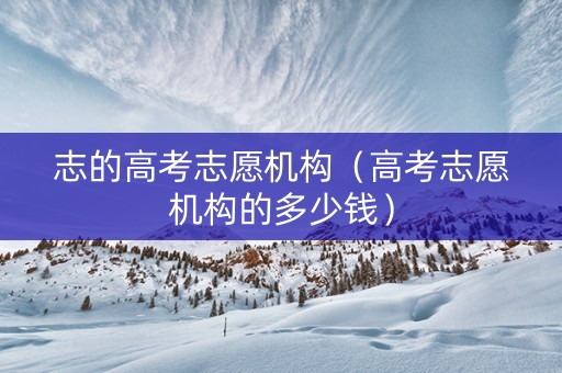 志的高考志愿机构（高考志愿机构的多少钱）
