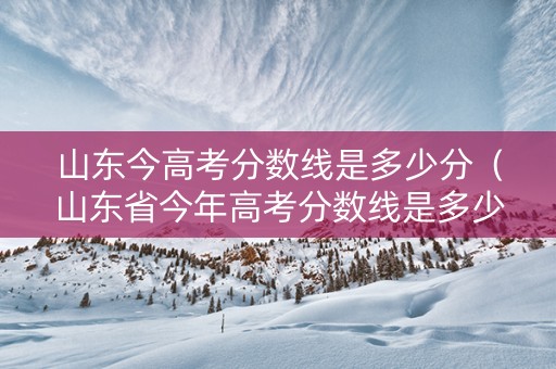 山东今高考分数线是多少分（山东省今年高考分数线是多少分）
