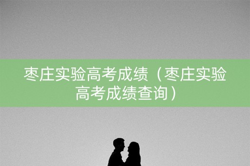 枣庄实验高考成绩（枣庄实验高考成绩查询）
