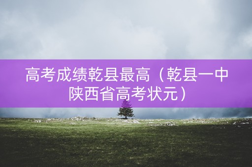 高考成绩乾县最高（乾县一中陕西省高考状元）