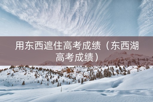 用东西遮住高考成绩（东西湖高考成绩）