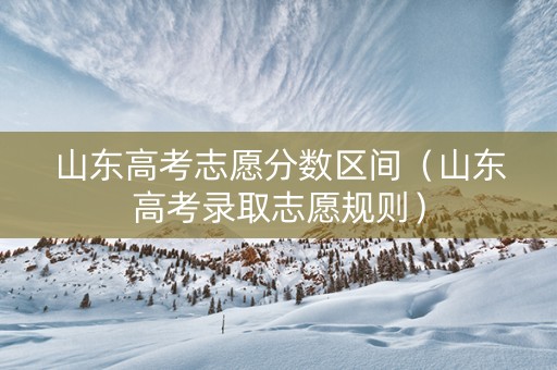 山东高考志愿分数区间（山东高考录取志愿规则）