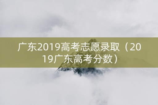 广东2019高考志愿录取（2019广东高考分数）