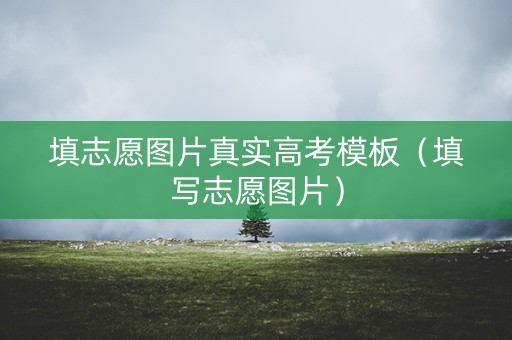 填志愿图片真实高考模板（填写志愿图片）