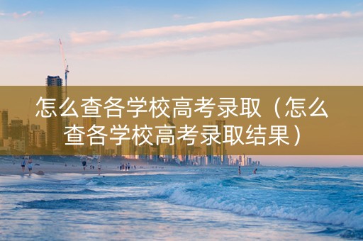 怎么查各学校高考录取（怎么查各学校高考录取结果）
