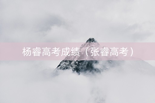 杨睿高考成绩（张睿高考）
