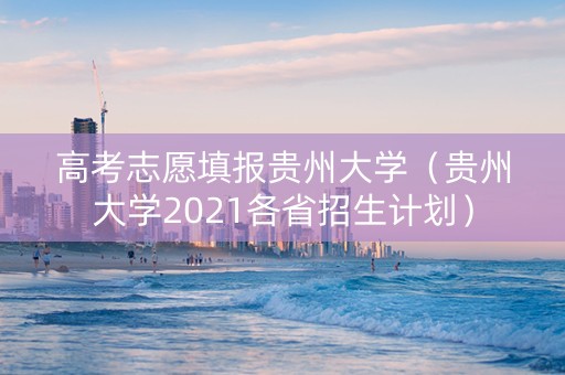 高考志愿填报贵州大学（贵州大学2021各省招生计划）
