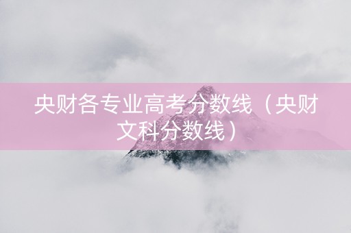 央财各专业高考分数线（央财文科分数线）
